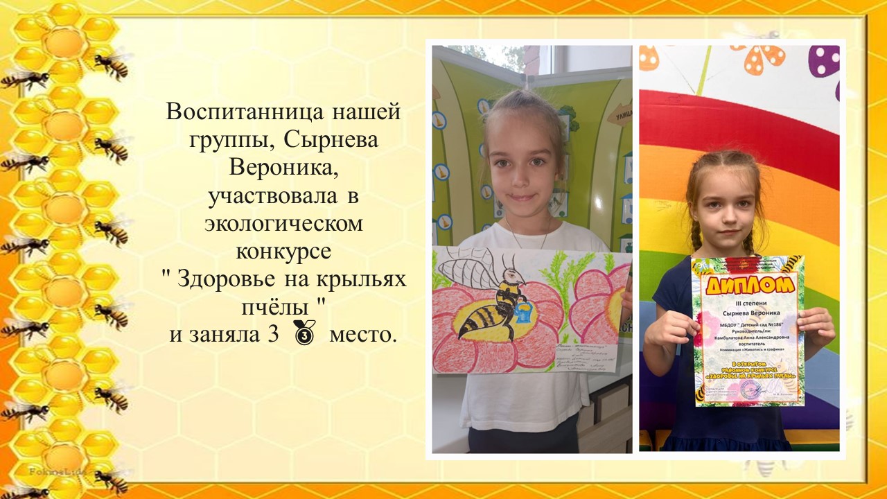 29.24.jpg